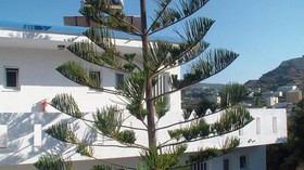 Creta Vassakis Studios