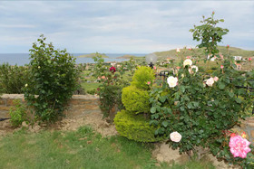 Dina Hotel