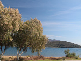 Ann George Resort