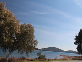 Ann George Resort