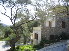 Gera's Olive Grove