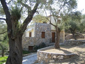 Gera's Olive Grove