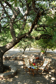 Delfinia Hotel & Bungalows