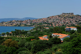 Delfinia Hotel & Bungalows