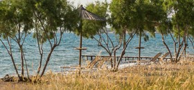 Delfinia Hotel & Bungalows