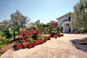 Pela