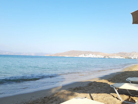 Iliachtida