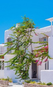 Delmar Apartments & Suites