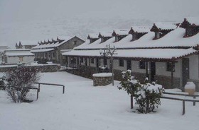 Alexander Resort