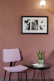 Paeonia