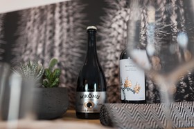 Black Cactus