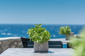 Capo Di Mykonos