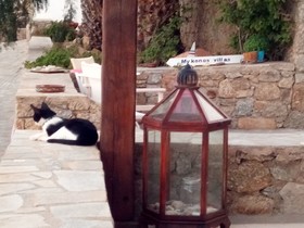 Siourdas Mykonos Villas