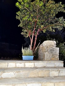 Mykonian Breeze