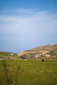 Villa Umbo by Mykonos Pearls