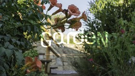 Legacy Suites Mykonos