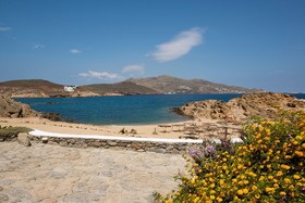 Mary Me Luxury Villas