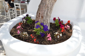 Flaskos Suites