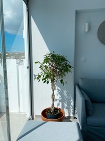 Amperian Mykonos Suites