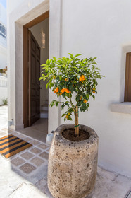 Anagram Boutique Hotel