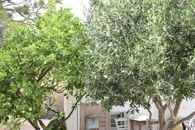 Andriani's Guest House