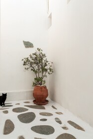 Andriani's Guest House