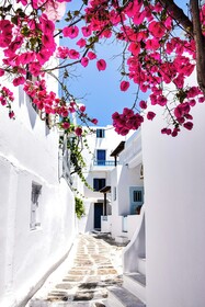 aníko suites