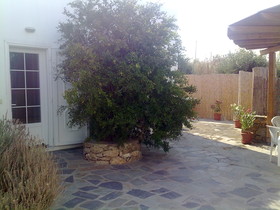 Aphrodite Garden