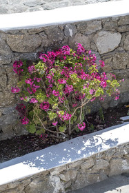 Avalon Mykonos Suites