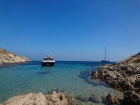 Cali Mykonos