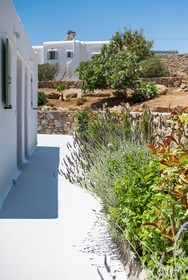 Dioni Mykonos
