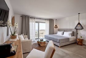 Ionic Suites