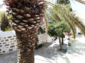 Island Mykonos Suites & Studios