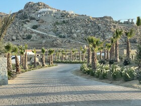 Muse Of Mykonos