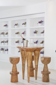 Myconian Villa Collection