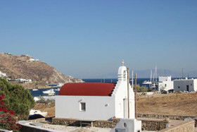Mykonos Cactus
