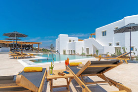 Mykonos Cactus