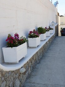 Mykonos Pro Care Suites