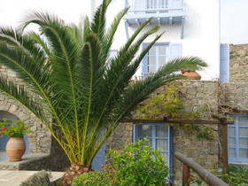 Nama Villas