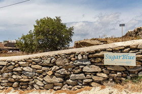 Sugar Blue