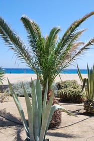 Myconian Sunrise Relais & Chateaux Hotel