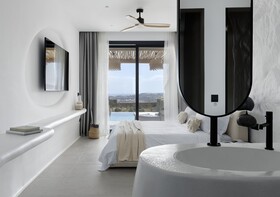 White Art Suites