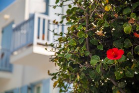 Aeolos Resort Mykonos