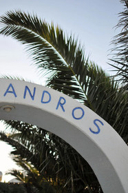 Alexandros Mykonos