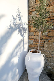 Avra House
