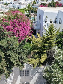 Belvedere Mykonos - Main Hotel Rooms &Suites