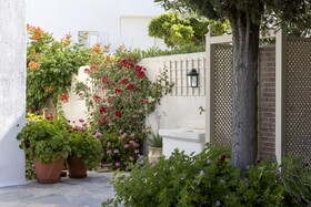 Despotikon Hotel Mykonos