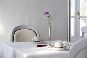 Despotikon Hotel Mykonos