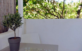 Flora's Houses
