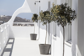 My Mykonos Boutique Hotel